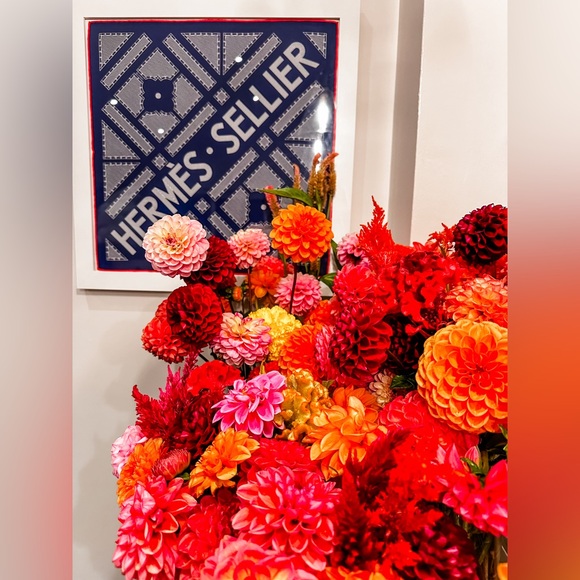 Meet your Posher, Anya - Picture 12 of 16